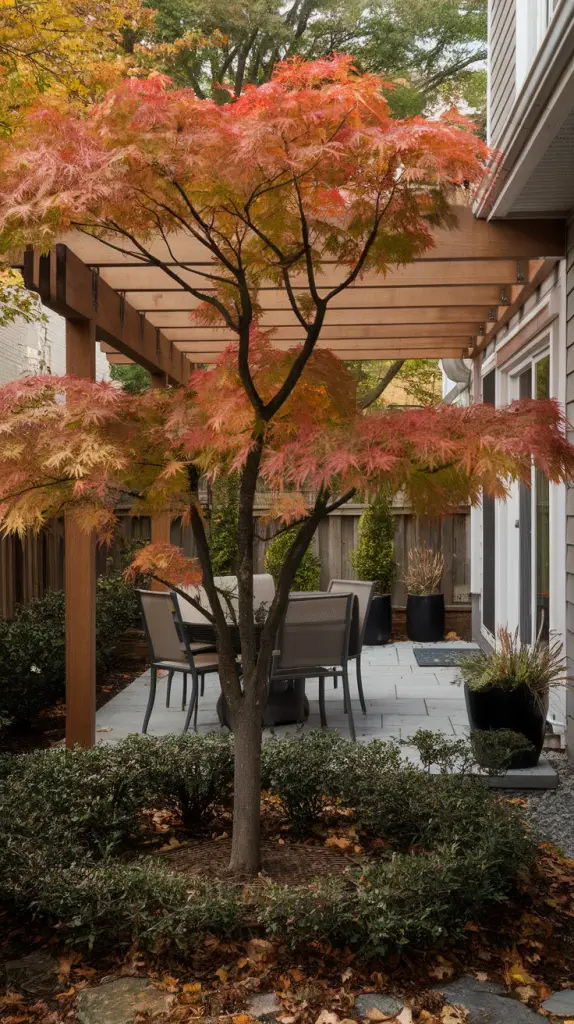 25 Small Backyard Landscaping Ideas for a Beautiful and Functional Outdoor Oasis