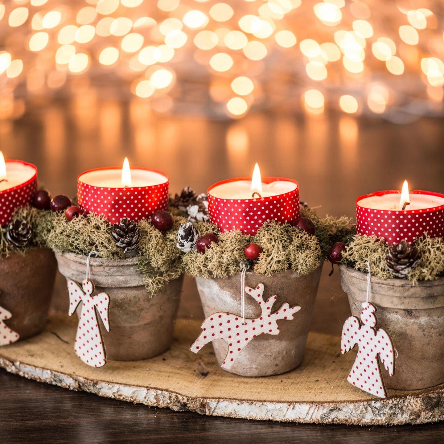 Charming Potted Christmas Candles — Christmas Window Candles