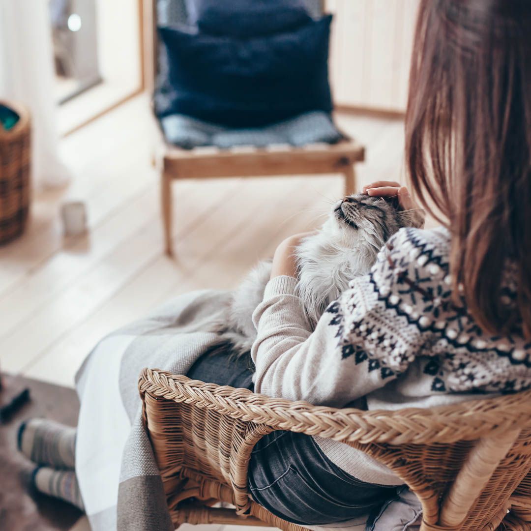Gemütliches Wohnen im Winter - mit Hygge! | Sonevo