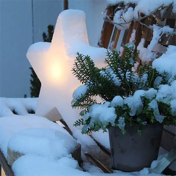 Illuminated Star Light on an Outdoor Bench — Outdoor Christmas Lights