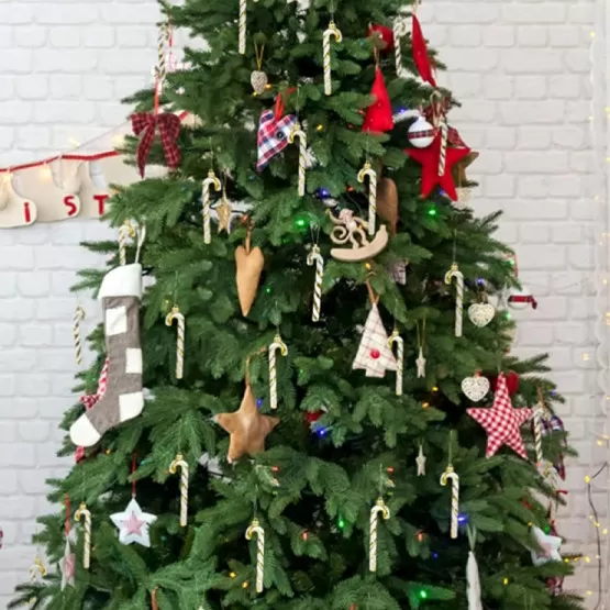 Traditional Abundant Candy Cane Ornaments on a Festive Christmas Tree — Candy Cane Christmas Tree