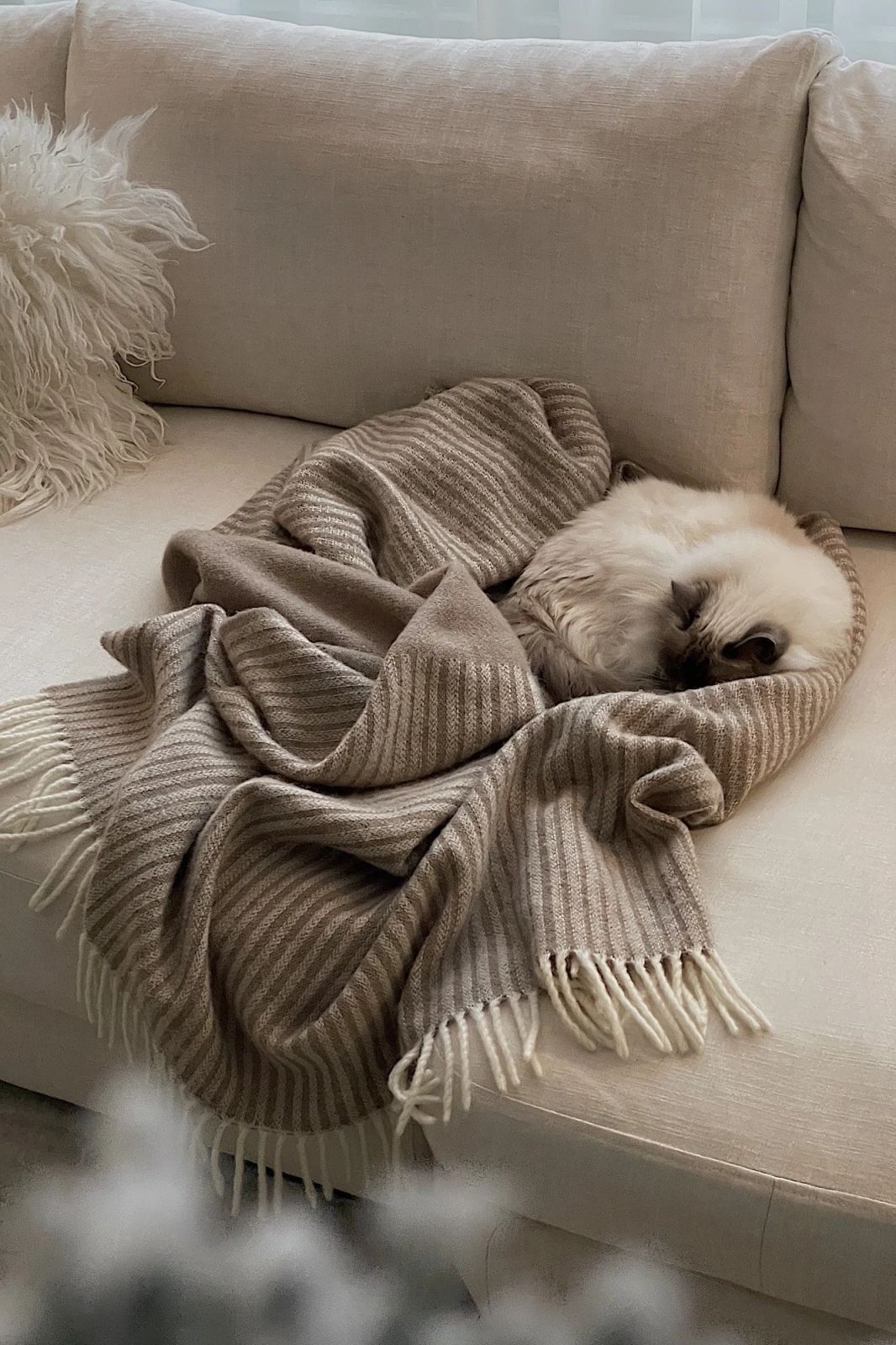 Serene Hygge Scene with a Sleeping Cat and Soft Textiles Serene Hygge Scene with a Sleeping Cat and Soft Textiles — Hygge Home Decor