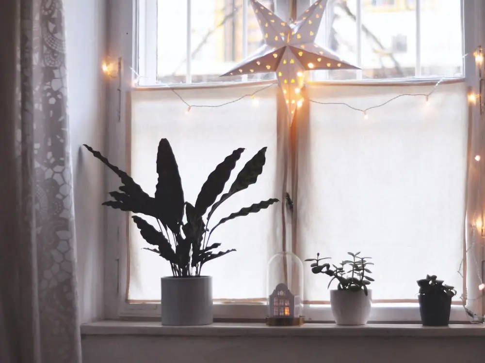Minimalist Paper Star Light and Fairy Lights — Christmas Fairy Lights Window