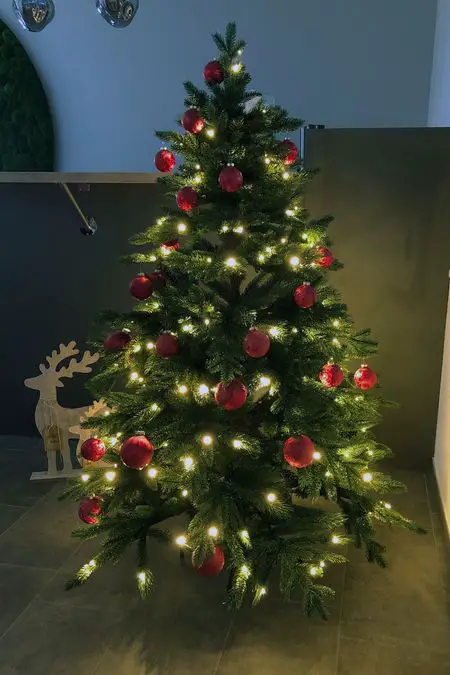 Lush Christmas Tree with Red Baubles and Bright Lights Lush Christmas Tree with Red Baubles and Bright Lights — Christmas Tree Lights