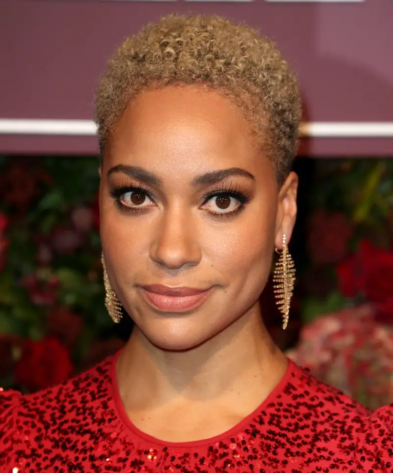 Light Blonde Close Crop — very short haircuts for black women 2027