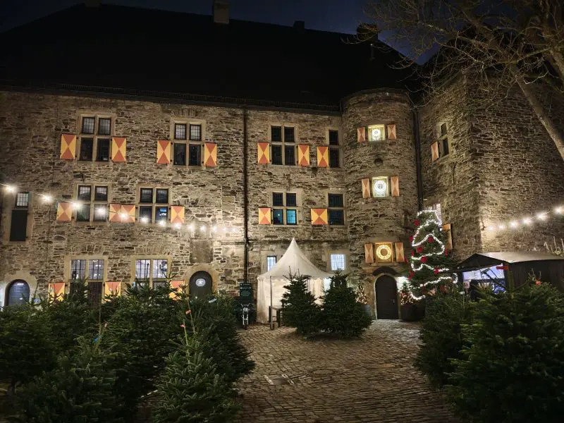 Outdoor Courtyard Backdrop with Abundant Christmas Trees and String Lights — Christmas Party Backdrop