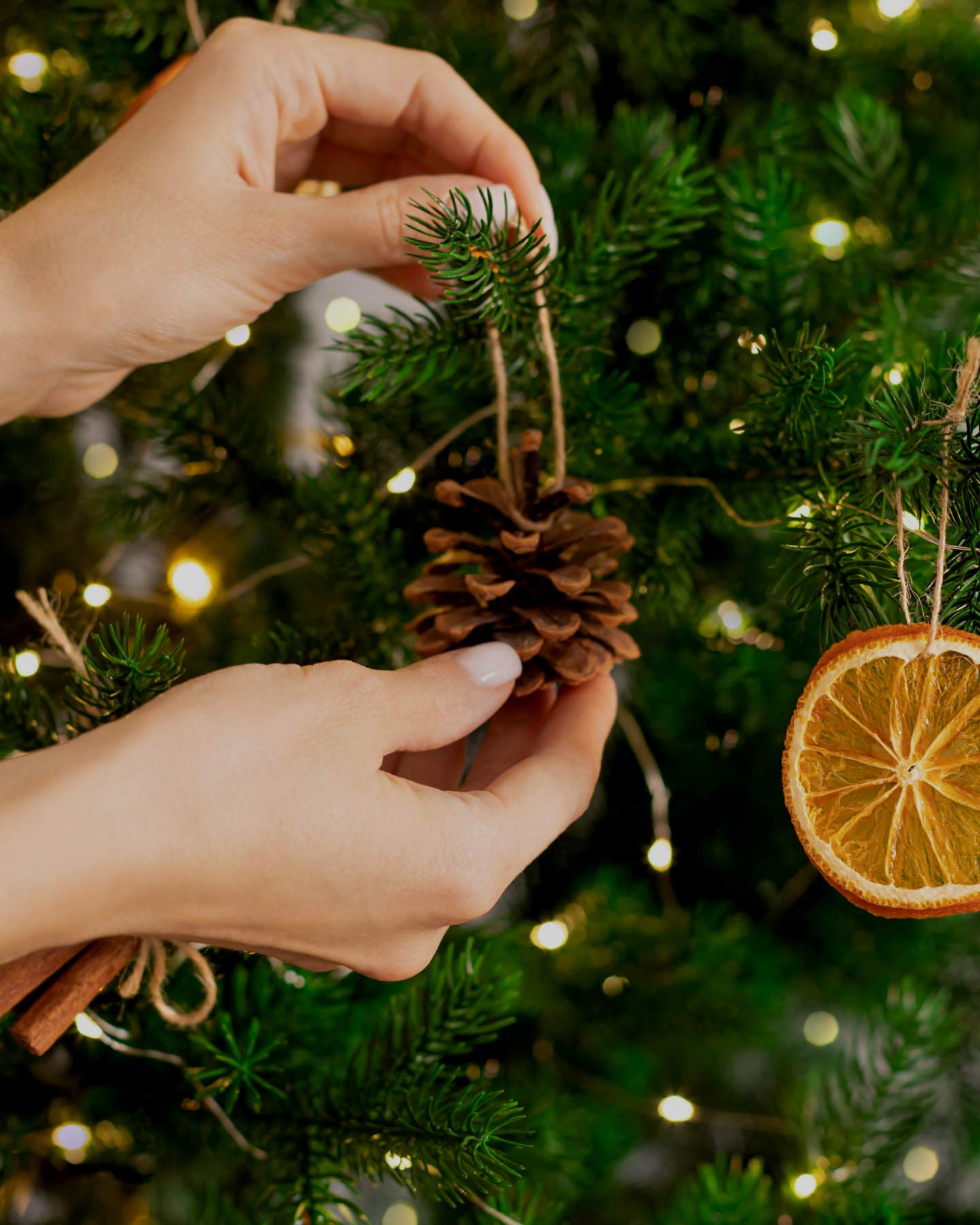Hands Decorating Tree with Pinecone, Orange, and Cinnamon — Ornament Christmas Tree