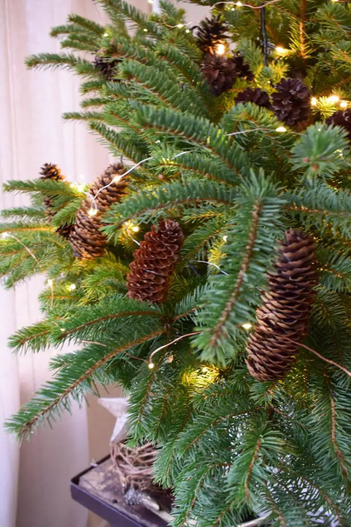 Natural Christmas Tree with Large Pinecones and Fairy Lights — Ornament Christmas Tree