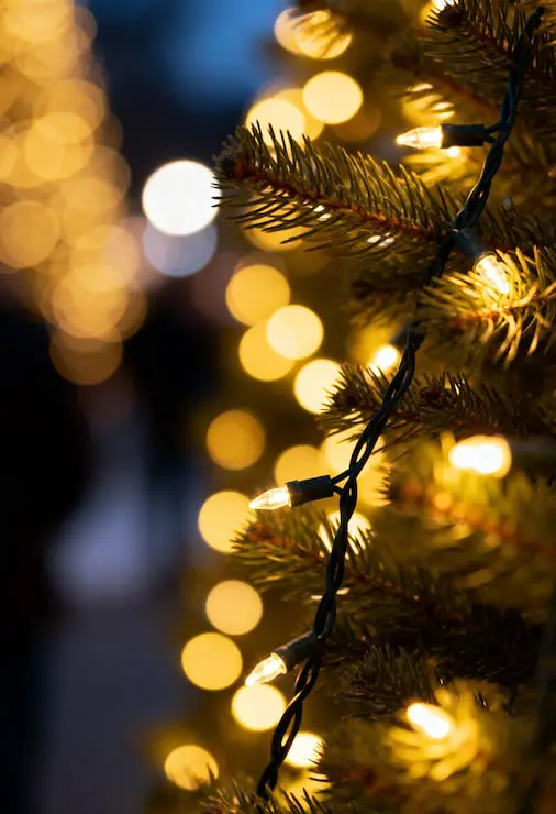 Macro View of Glowing Christmas Lights on Pine Branch Macro View of Glowing Christmas Lights on Pine Branch — Christmas Tree Lights