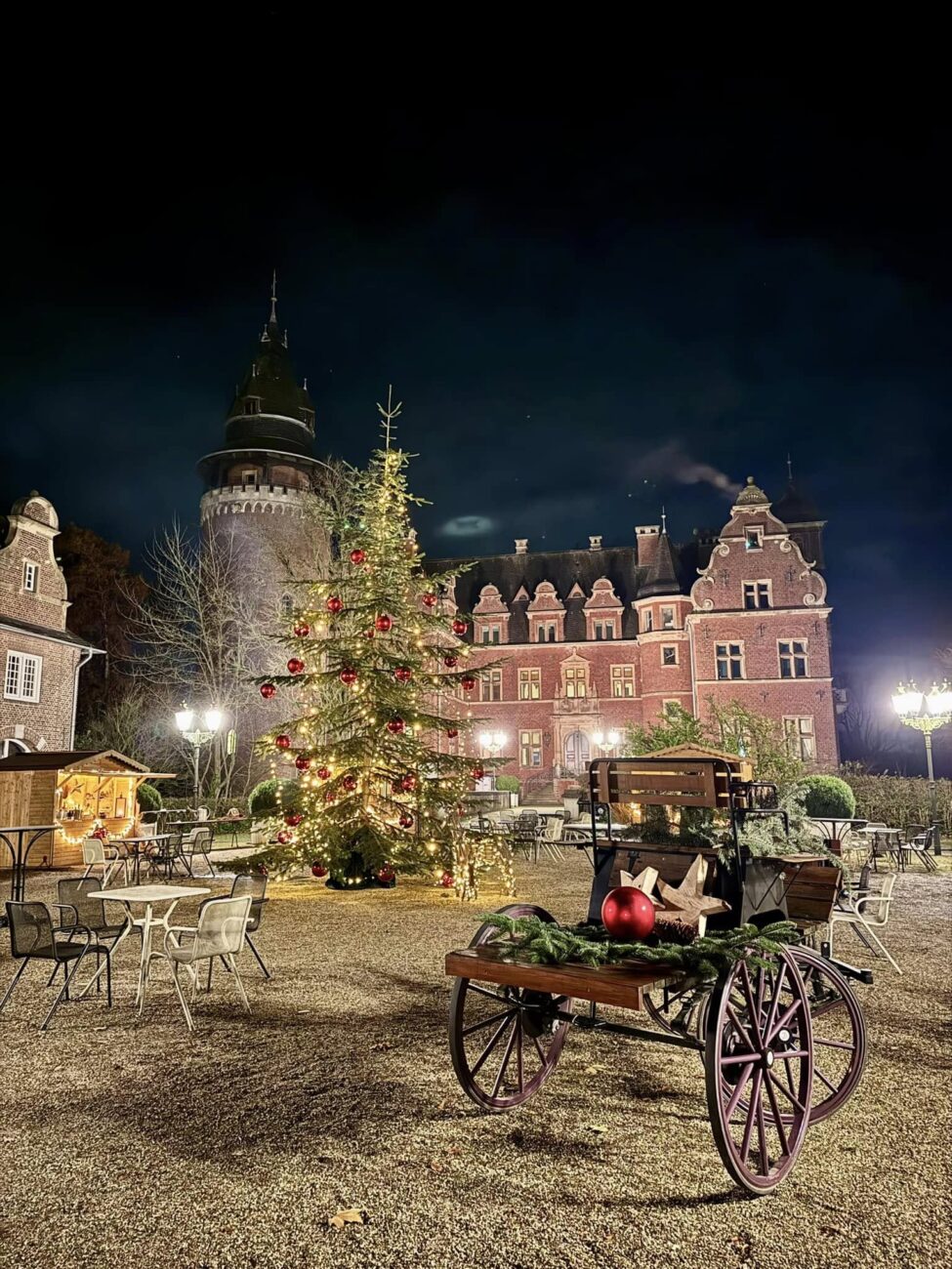 Outdoor Courtyard Backdrop with Illuminated Christmas Tree — Christmas Party Backdrop