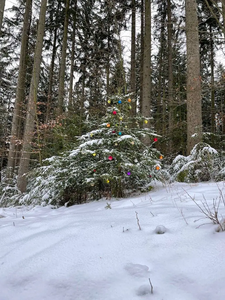 Natural Christmas Tree in a Snowy Forest Clearing Natural Christmas Tree in a Snowy Forest Clearing — Winter Wonderland Christmas Tree