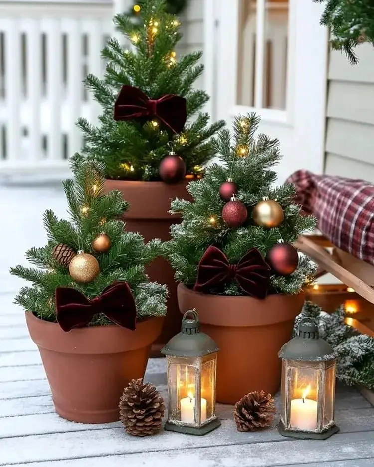 Charming Vignette of Mini Christmas Trees in Terracotta Pots — Small Christmas Porch