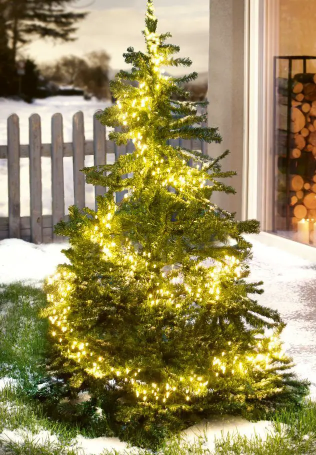 Outdoor Christmas Tree in a Snowy Garden Outdoor Christmas Tree in a Snowy Garden — Winter Wonderland Christmas Tree
