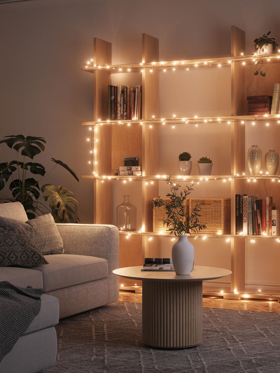 Modern Living Room with String Lights on Bookshelf Modern Living Room with String Lights on Bookshelf — Christmas Light Display Ideas