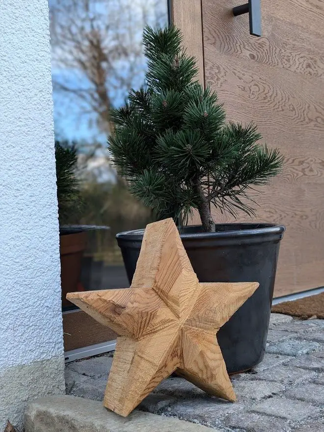 Simple Pine Tree in Dark Pot with Large Wooden Star Simple Pine Tree in Dark Pot with Large Wooden Star — Christmas Porch Planters