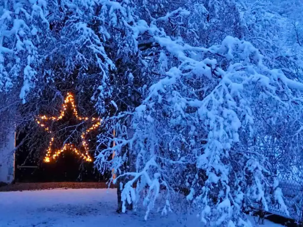 Magical Star Light in a Snowy Tree — Outdoor Christmas Lights