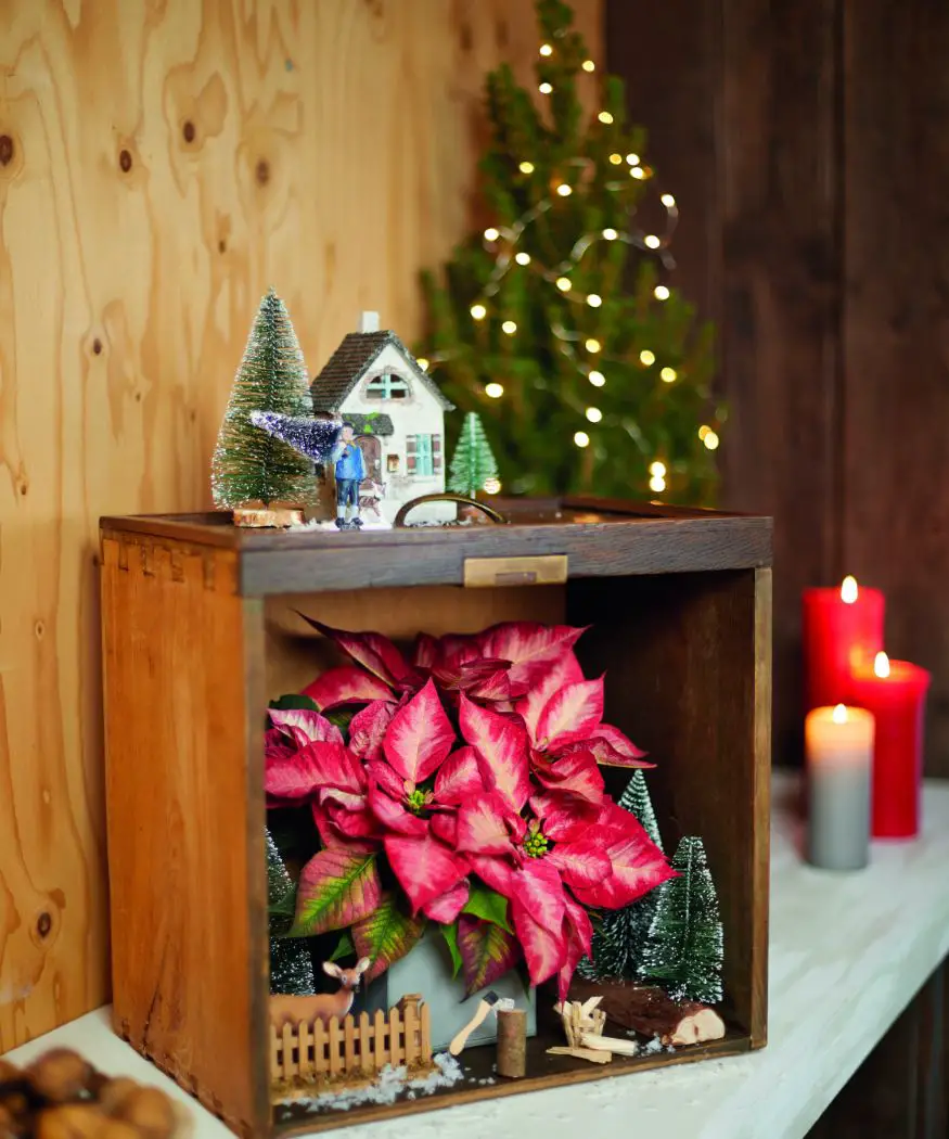 Miniature Christmas Village Diorama in a Wooden Box Miniature Christmas Village Diorama in a Wooden Box — Christmas Office Decor Ideas