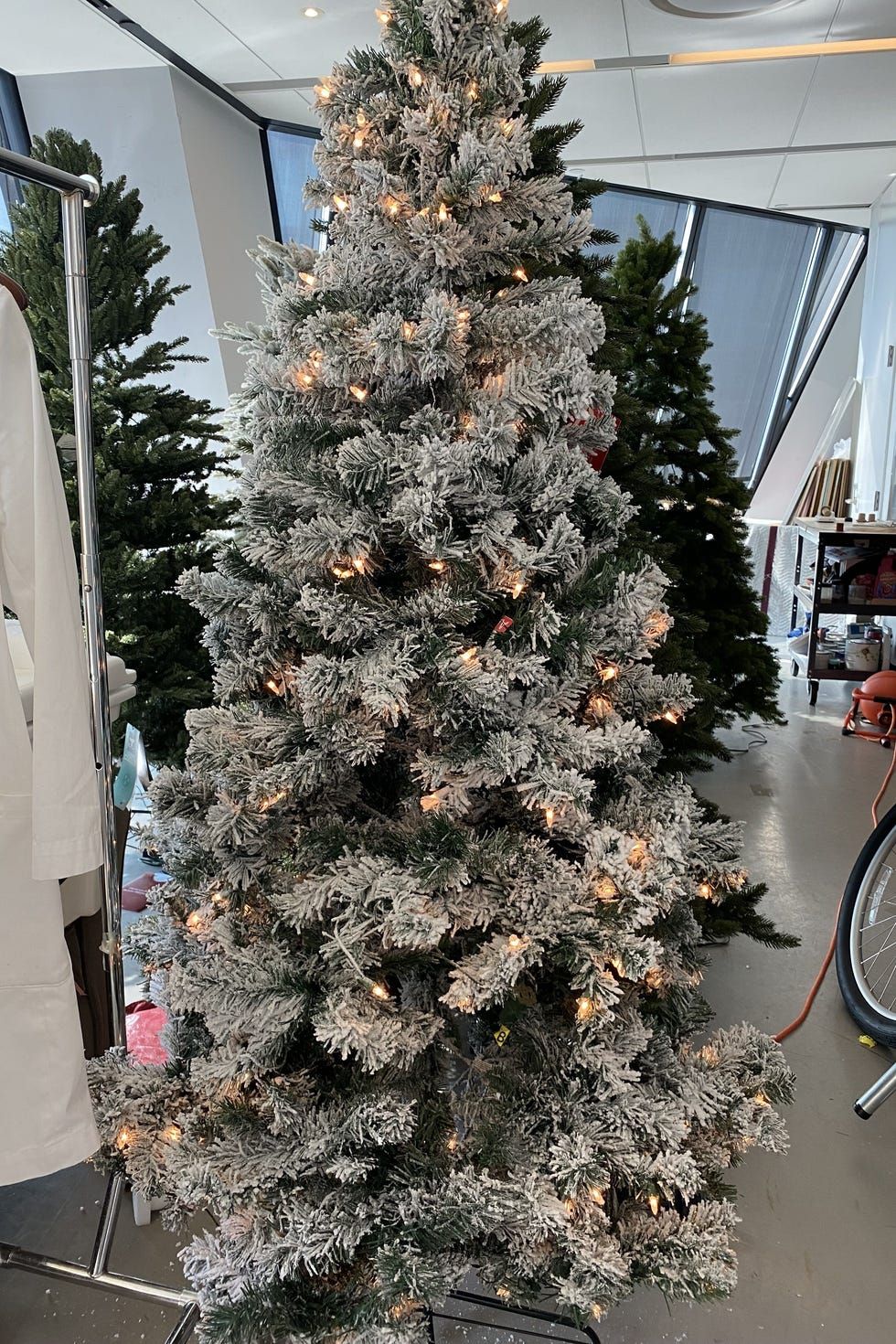 Flocked Christmas Tree in a Studio Setting with Other Trees Flocked Christmas Tree in a Studio Setting with Other Trees — Flocked Christmas Tree Decor