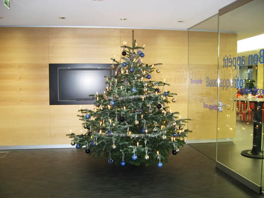 Modern Office Christmas Tree with Blue and Silver Baubles — Blue and Silver Christmas Tree