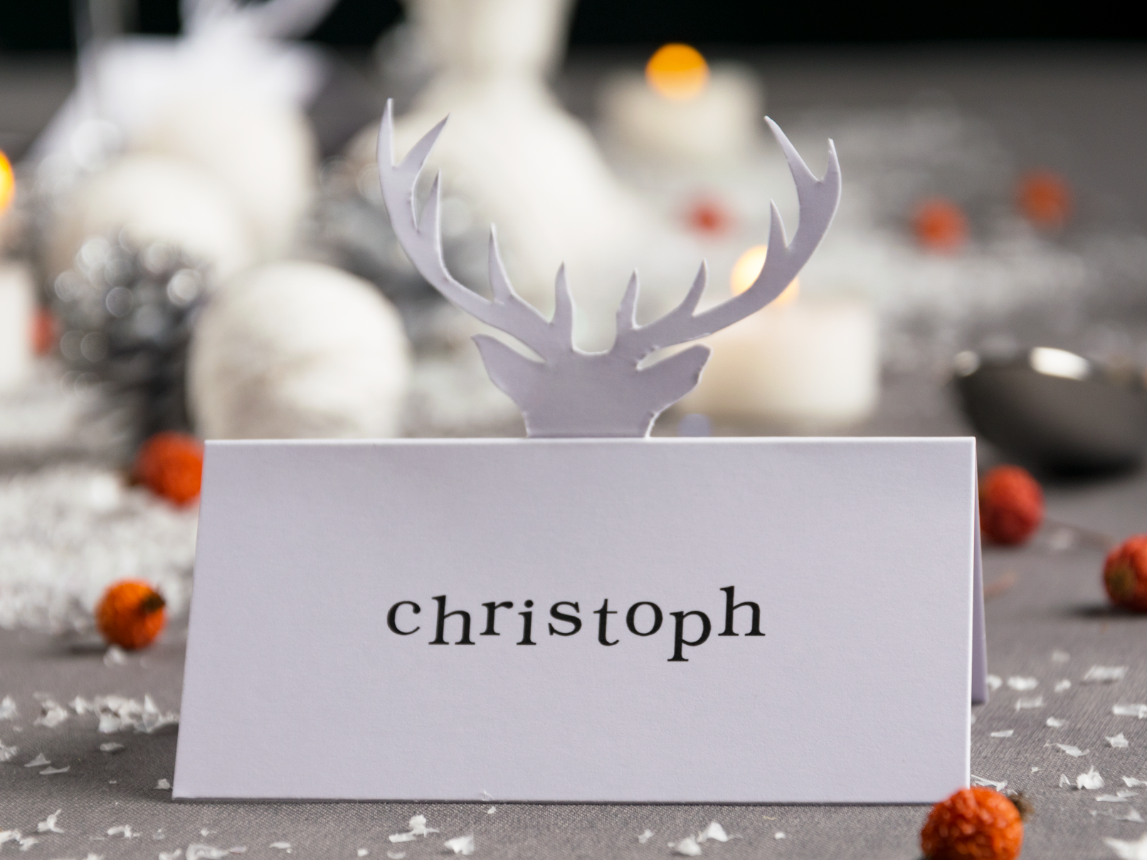 Winter Wonderland Place Card with Reindeer Cutout — Christmas Place Cards