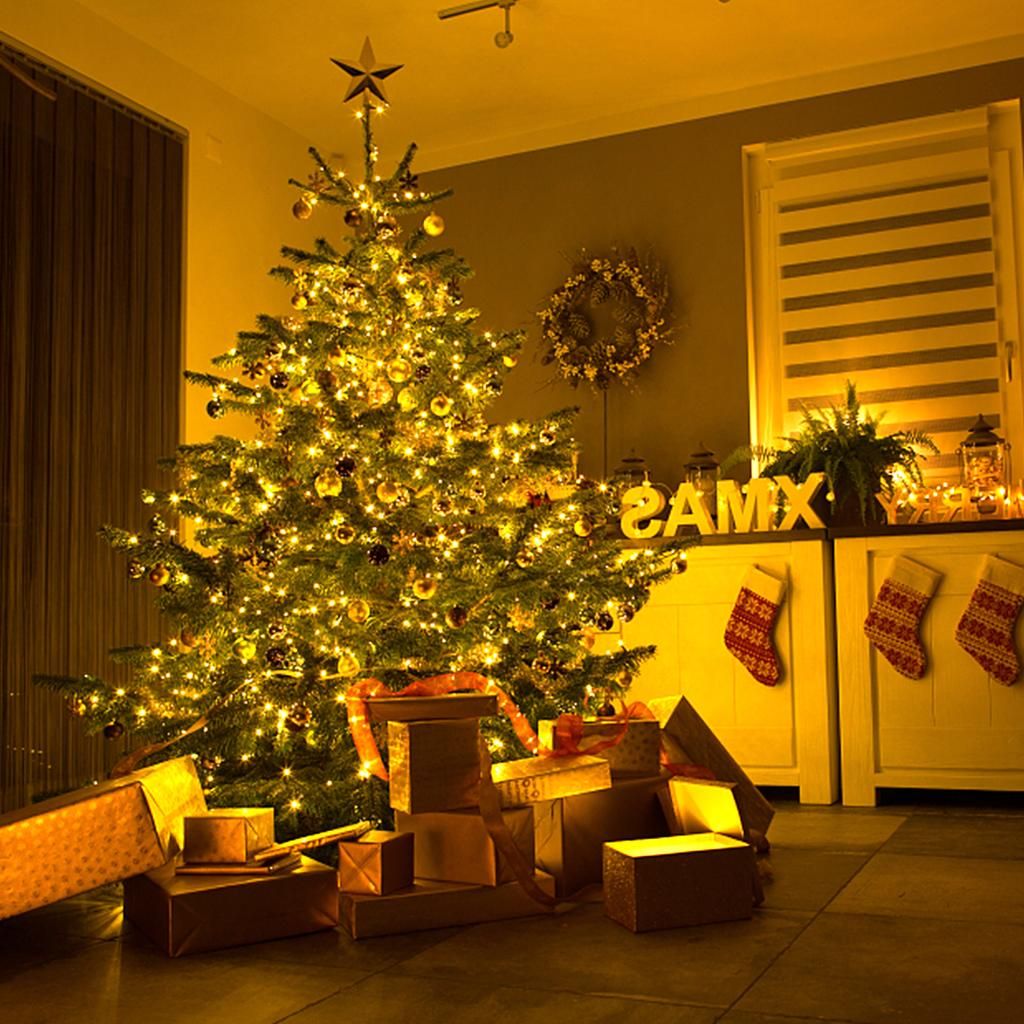 Traditional Living Room Dominated by a Fairy Light-Covered Christmas Tree Traditional Living Room Dominated by a Fairy Light-Covered Christmas Tree — Christmas Fairy Lights Living Room