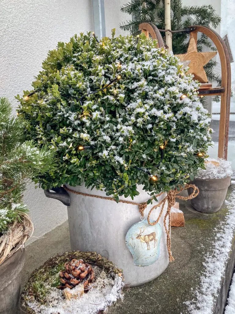 Corner Vignette With Potted Plants Visual Idea — Christmas Porch Decor