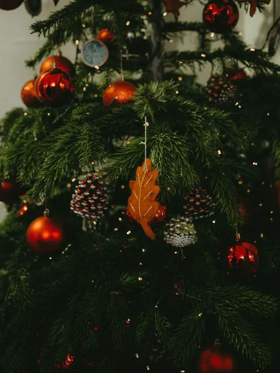 Close-up of Green Pine Needles with Red Baubles and Pine Cones Close-up of Green Pine Needles with Red Baubles and Pine Cones — Red and Green Christmas Tree