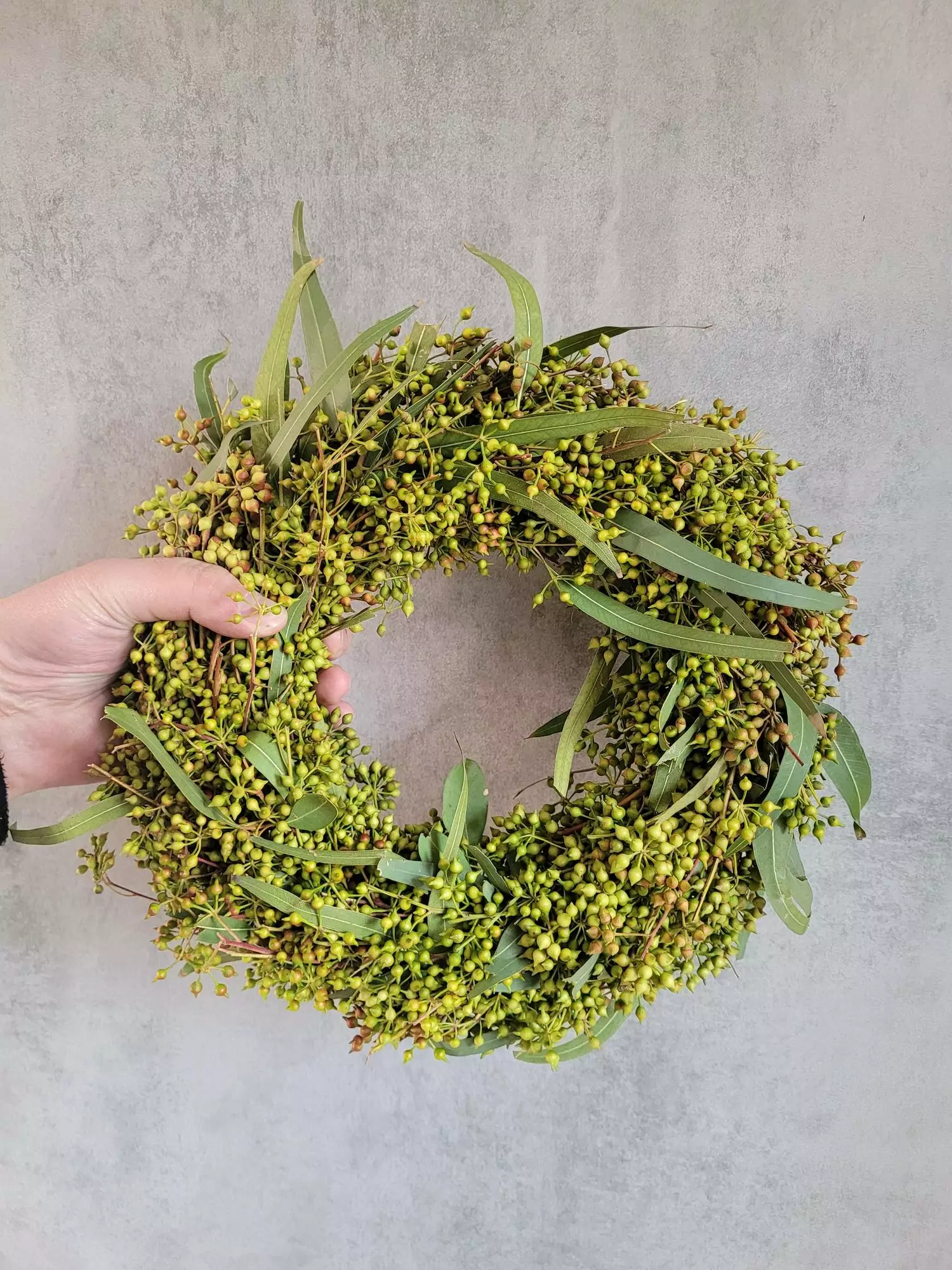 Eucalyptus Wreath Held by Hand for Scale Eucalyptus Wreath Held by Hand for Scale — Ornament Wreath