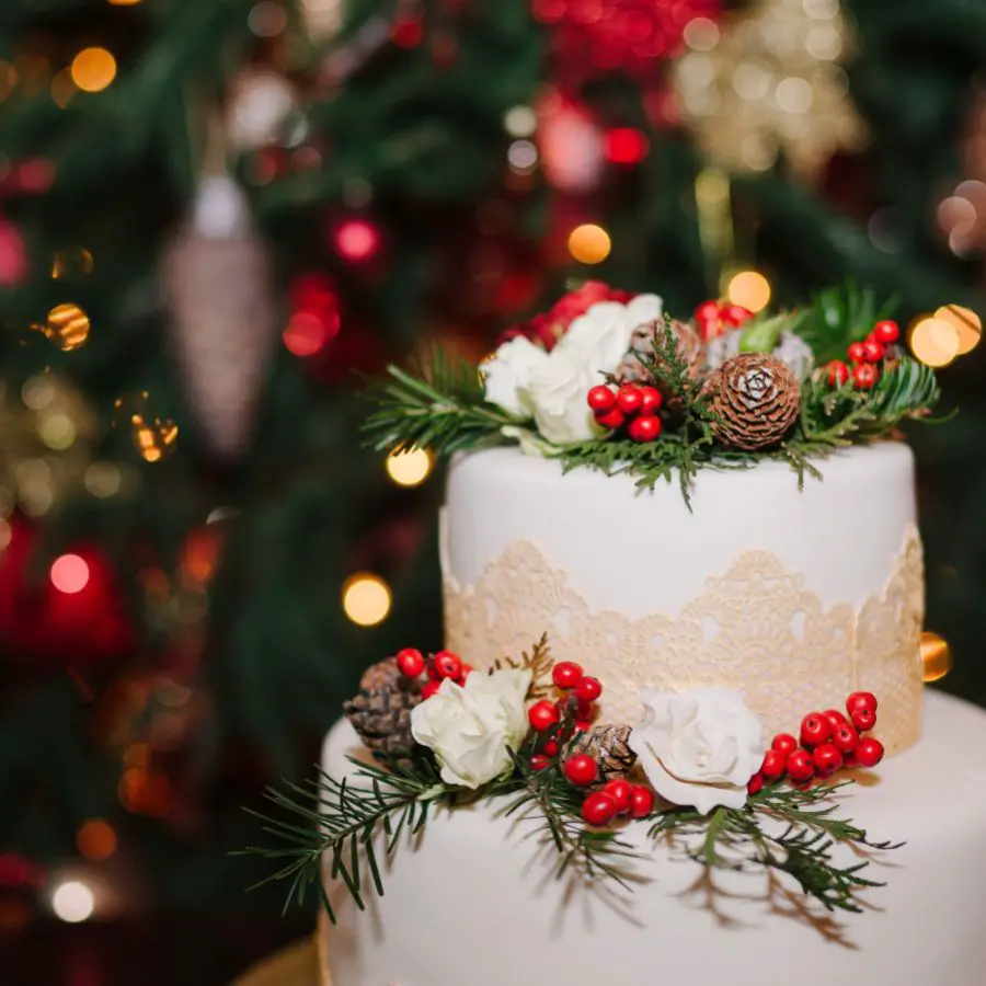 Festive Wedding Cake with Pinecones and Red Berries — Christmas Wedding Decor
