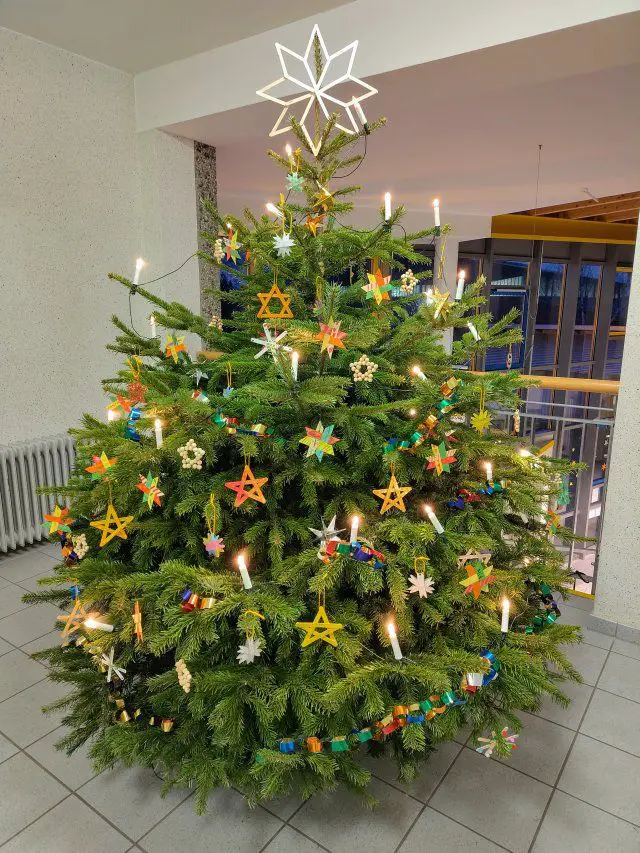 Ornately Decorated Christmas Tree in a School Hallway Ornately Decorated Christmas Tree in a School Hallway — Christmas Classroom Decor